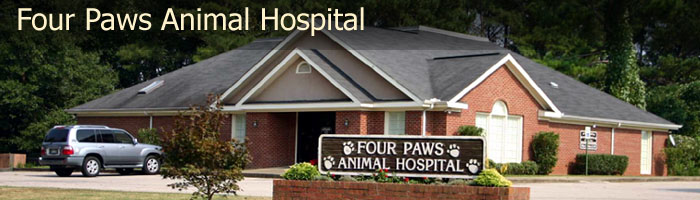 Four Paws Animal Hospital